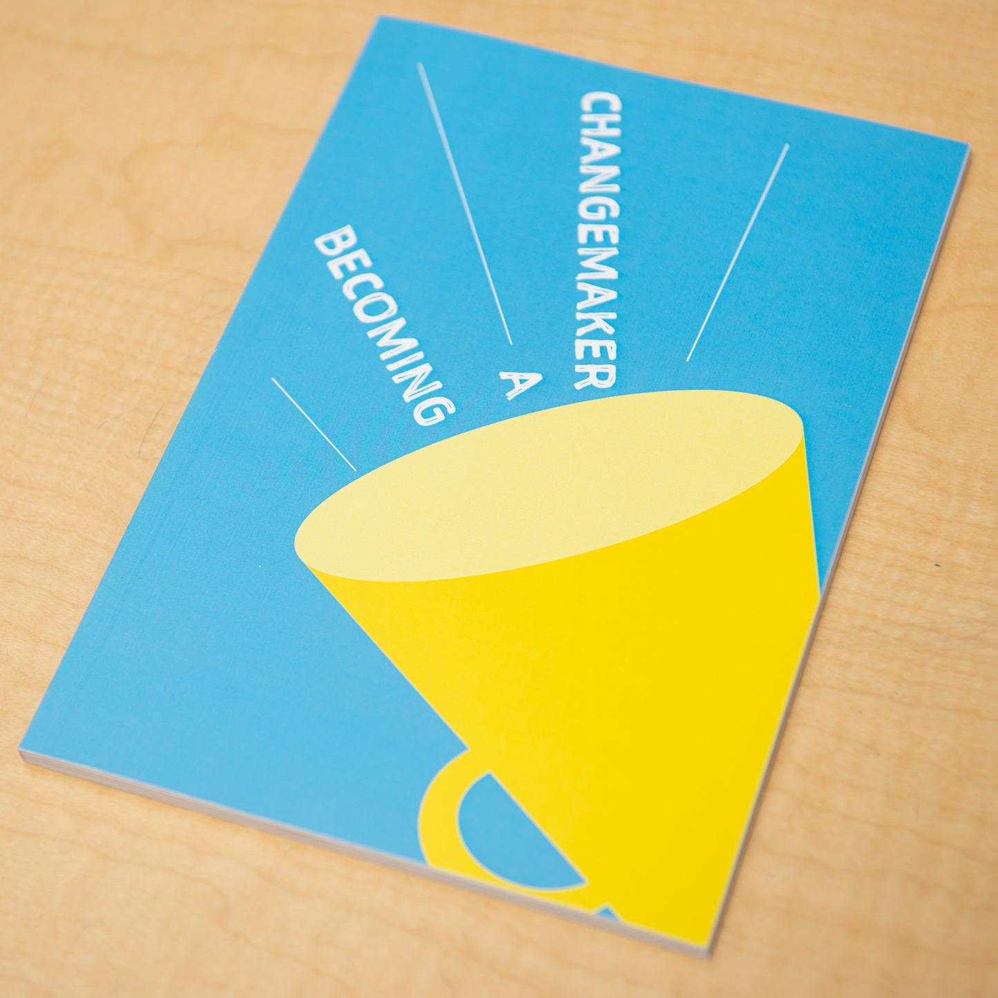Becoming a Changemaker