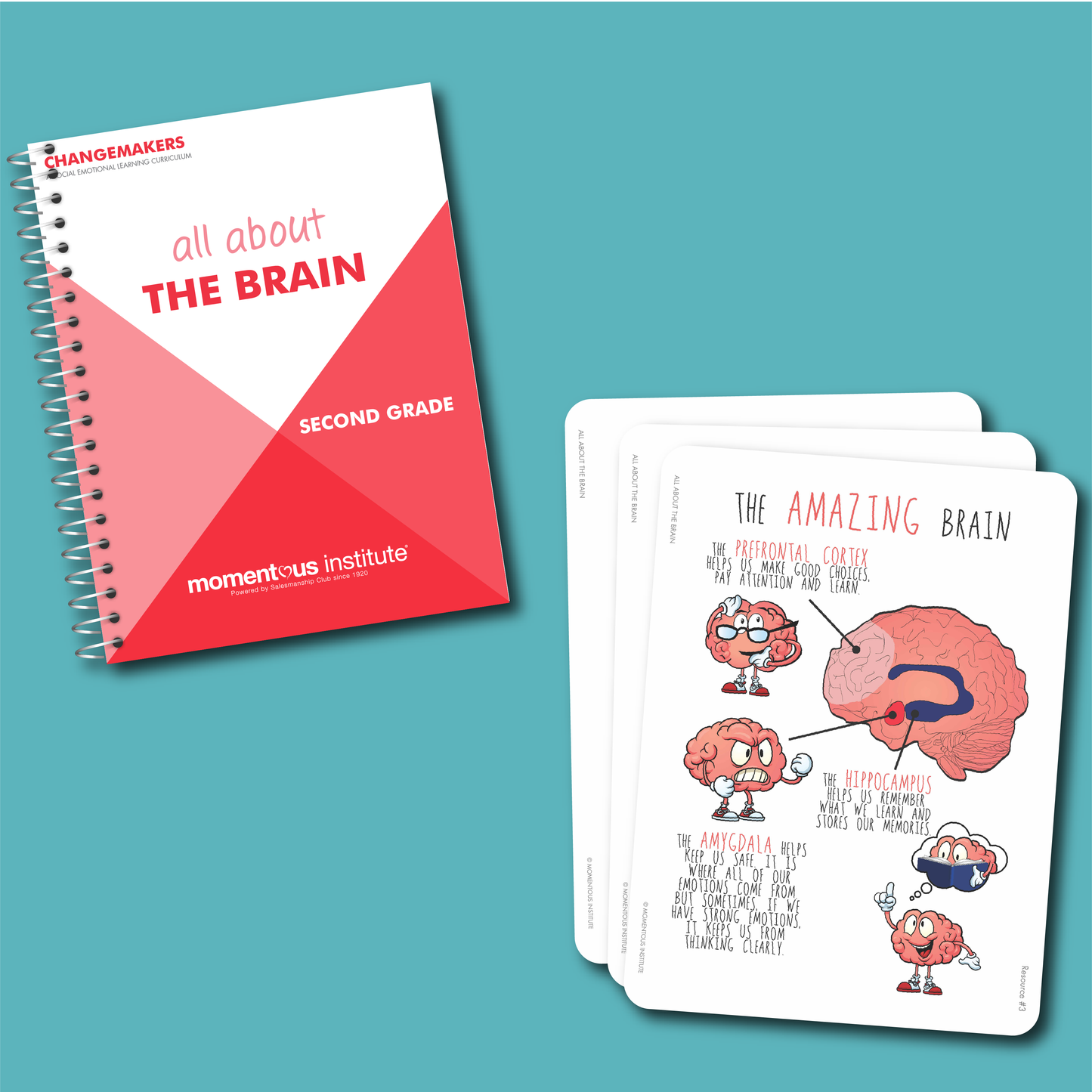 All about the Brain: A Changemakers Curriculum Module