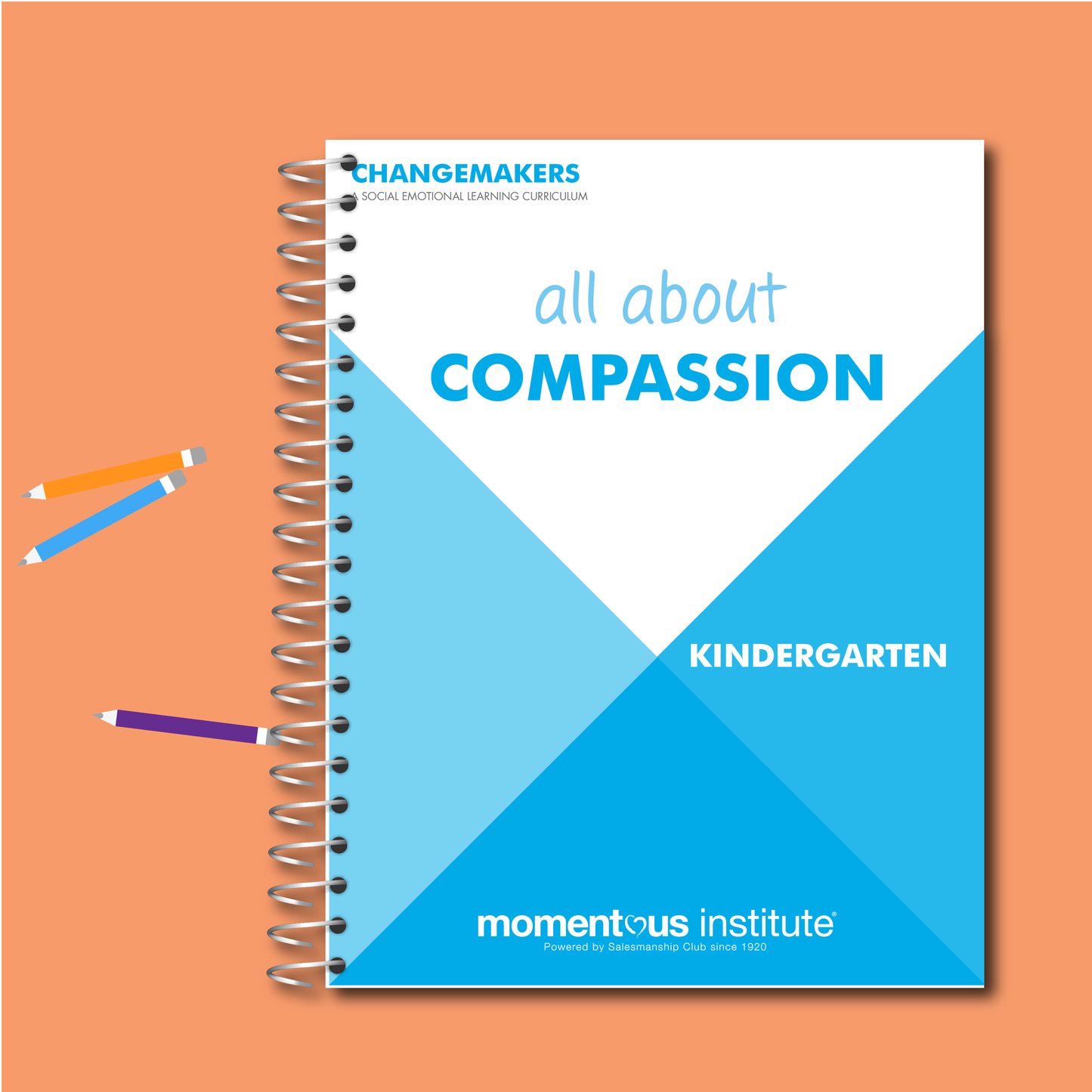 All about Compassion: A Changemakers Curriculum Module