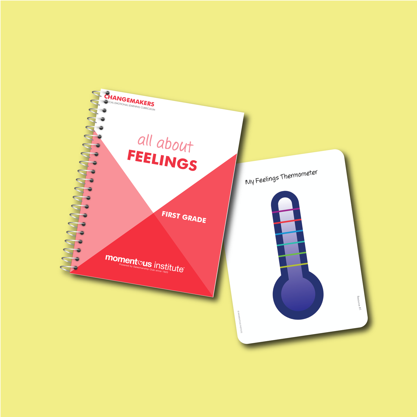 All about Feelings: A Changemakers Curriculum Module