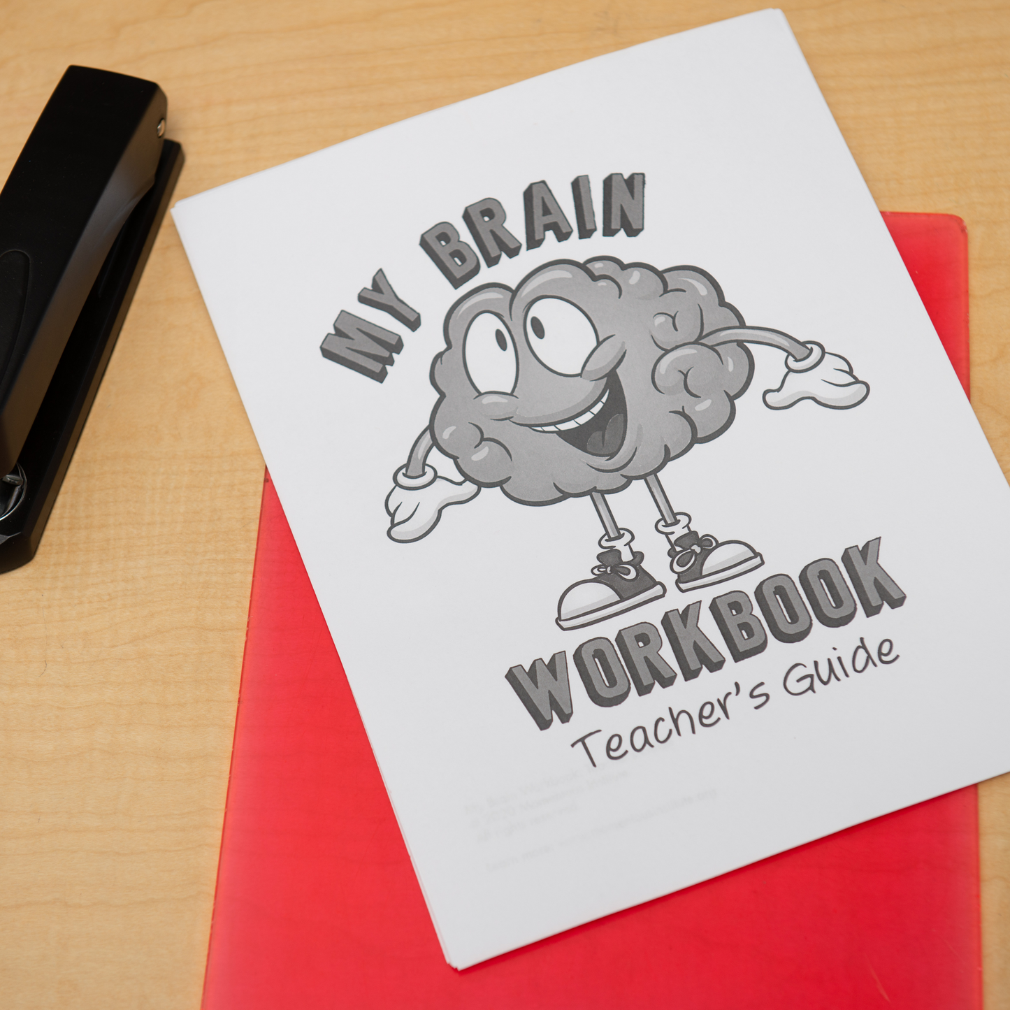 My Brain Workbook