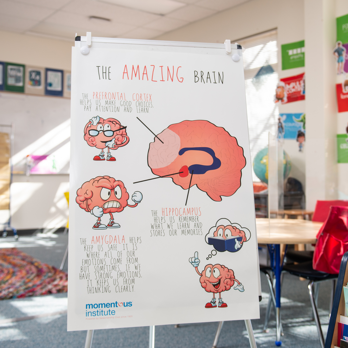 The Amazing Brain Poster