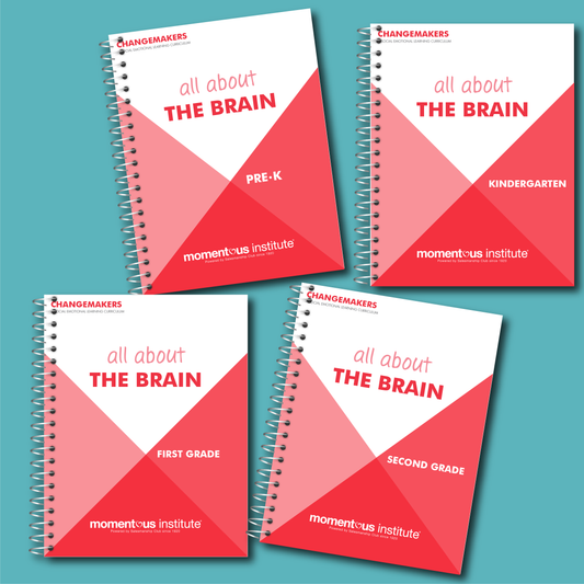 All about the Brain: A Changemakers Curriculum Module